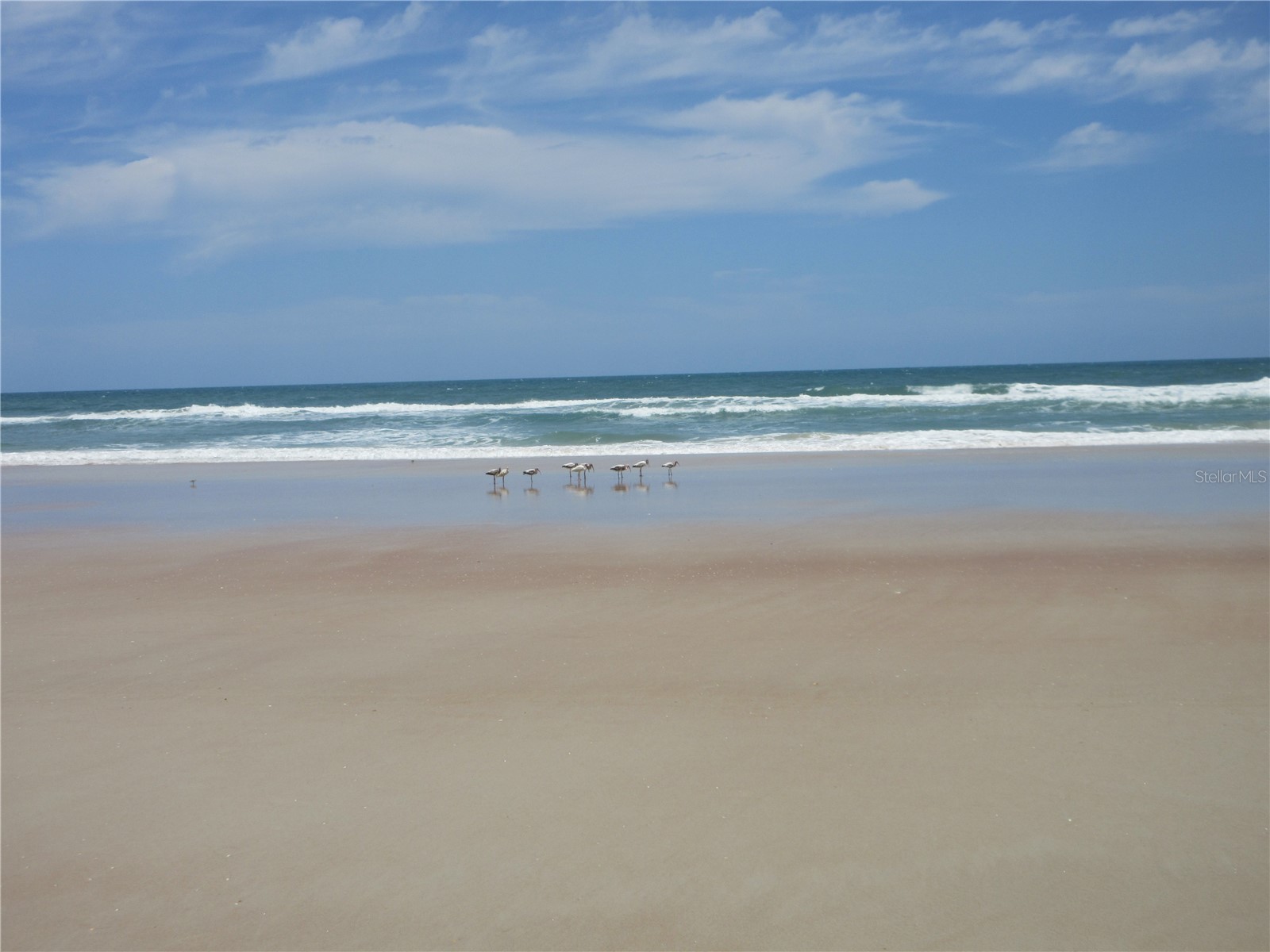 3023 S Atlantic Avenue #2070 Daytona Beach FL 32118 - ATLANTIC OCEAN OM721441 image36