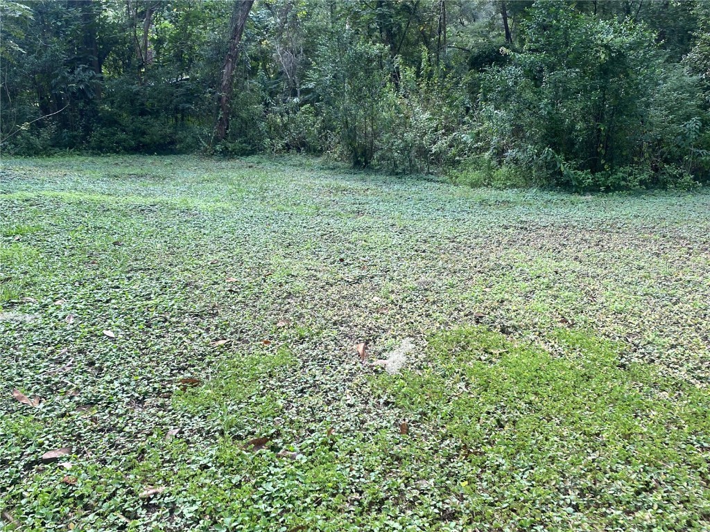 3023 SE 13th Place Gainesville FL 32641 GC535361 image23