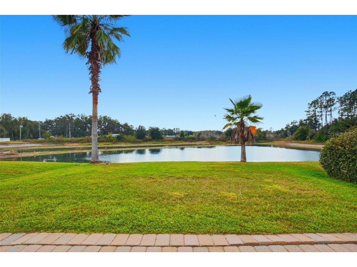 30230 Double Drive Wesley Chapel FL 33545 O6363140 image33