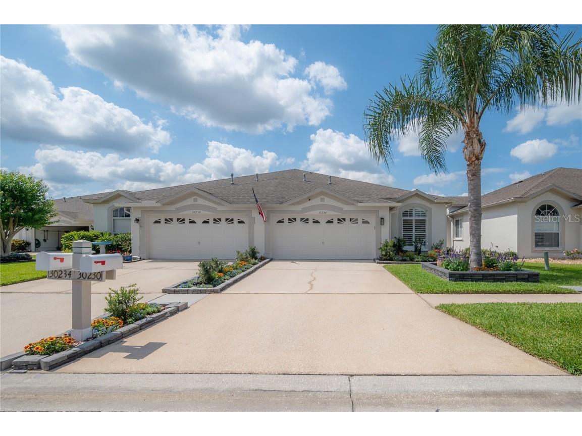 30230 Emmetts Court Wesley Chapel FL 33543 T3444821 image1