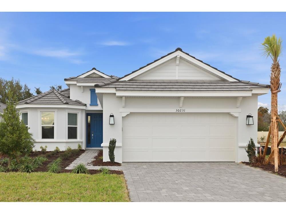 30231 Imperati Boulevard Wesley Chapel FL 33543 TB8430464 image1