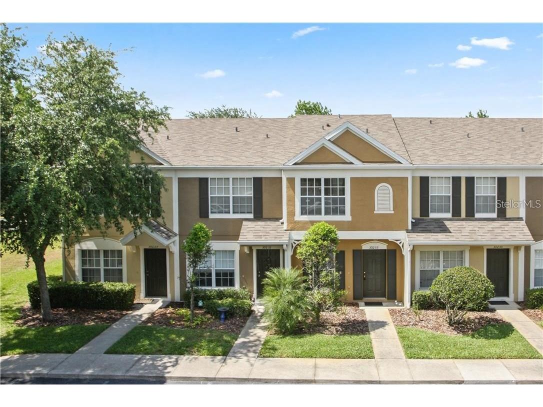 30233 Lacledes Lane Wesley Chapel FL 33543 T3416654 image1