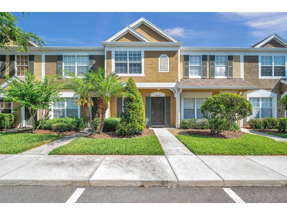 30233 Lacledes Lane Wesley Chapel FL 33543 T3524907 image1