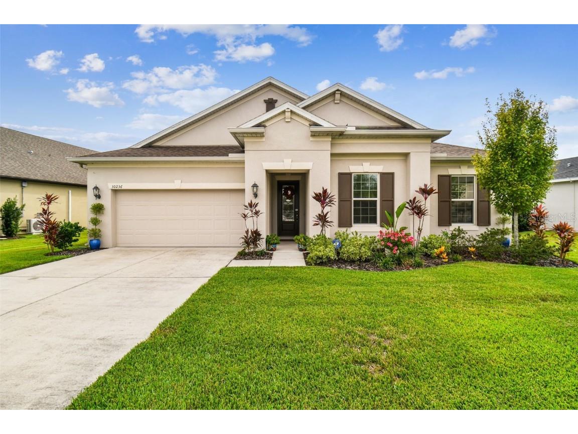30236 Five Farms Avenue Wesley Chapel FL 33543 T3474382 image1