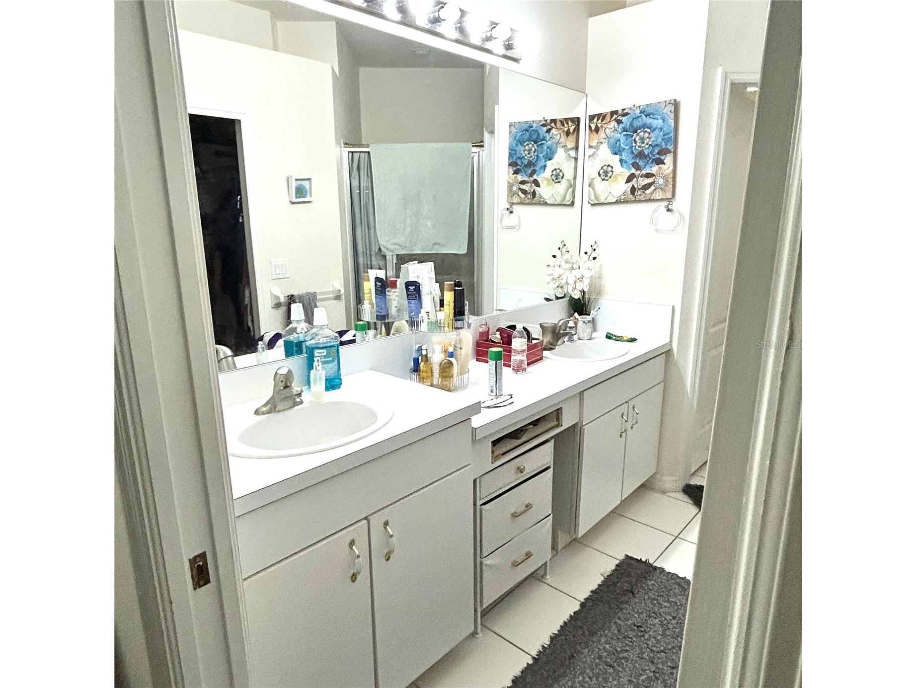 30236 Lettingwell Circle Wesley Chapel FL 33543 TB8523962 image12