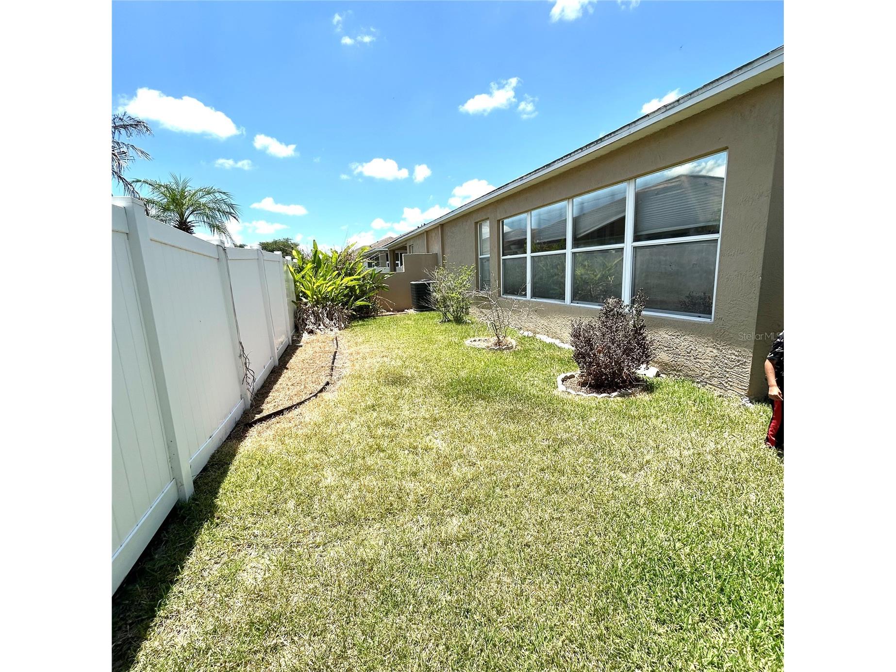 30236 Lettingwell Circle Wesley Chapel FL 33543 TB8523962 image31
