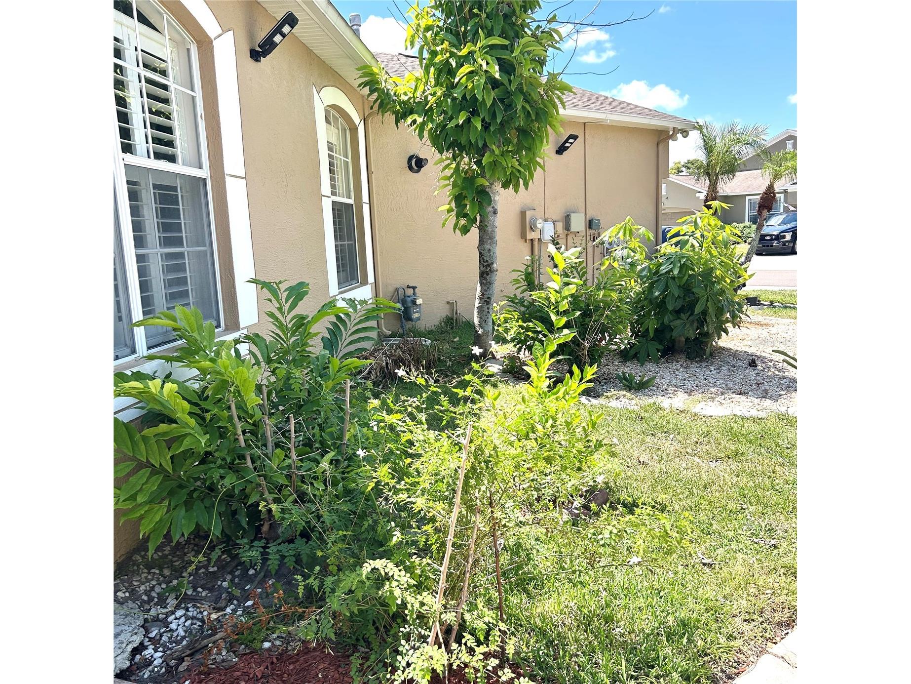 30236 Lettingwell Circle Wesley Chapel FL 33543 TB8523962 image33