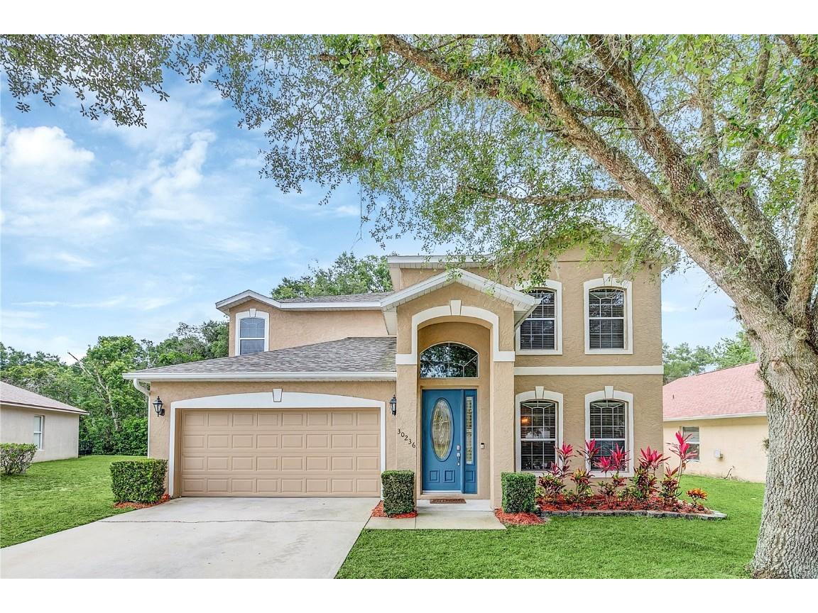 30236 Pga Drive Sorrento FL 32776 O6117594 image1