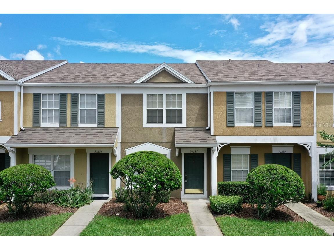 30237 Lacledes Lane Wesley Chapel FL 33543 T3547713 image1