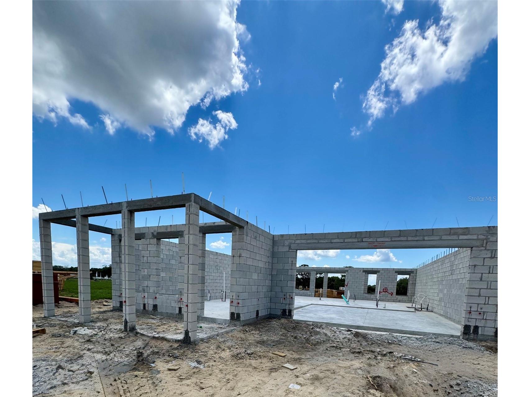 30237 Rustic Mill Street Mount Dora FL 32757 O6423334 image2
