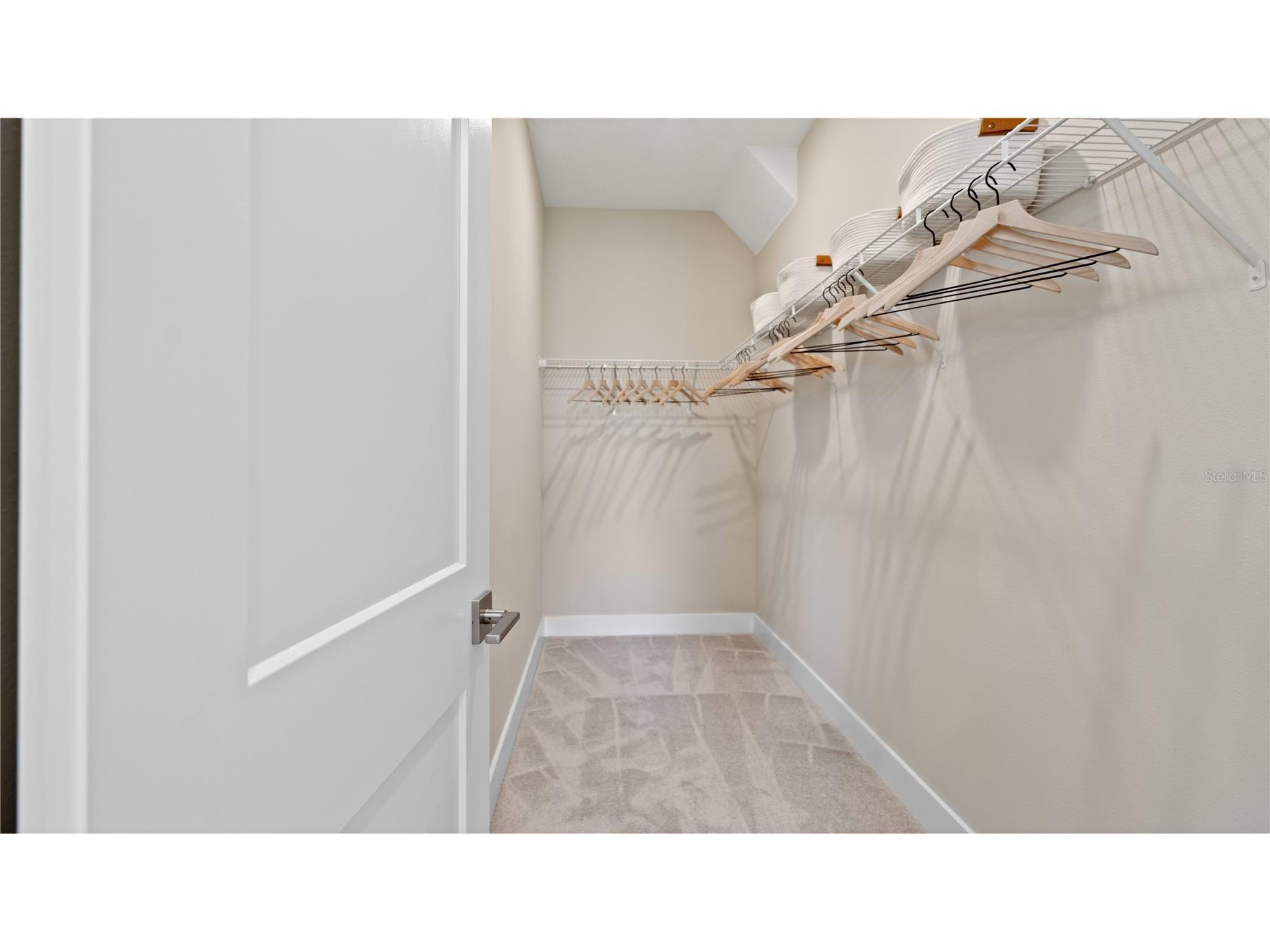 30237 Rustic Mill Street Mount Dora FL 32757 O6423334 image37