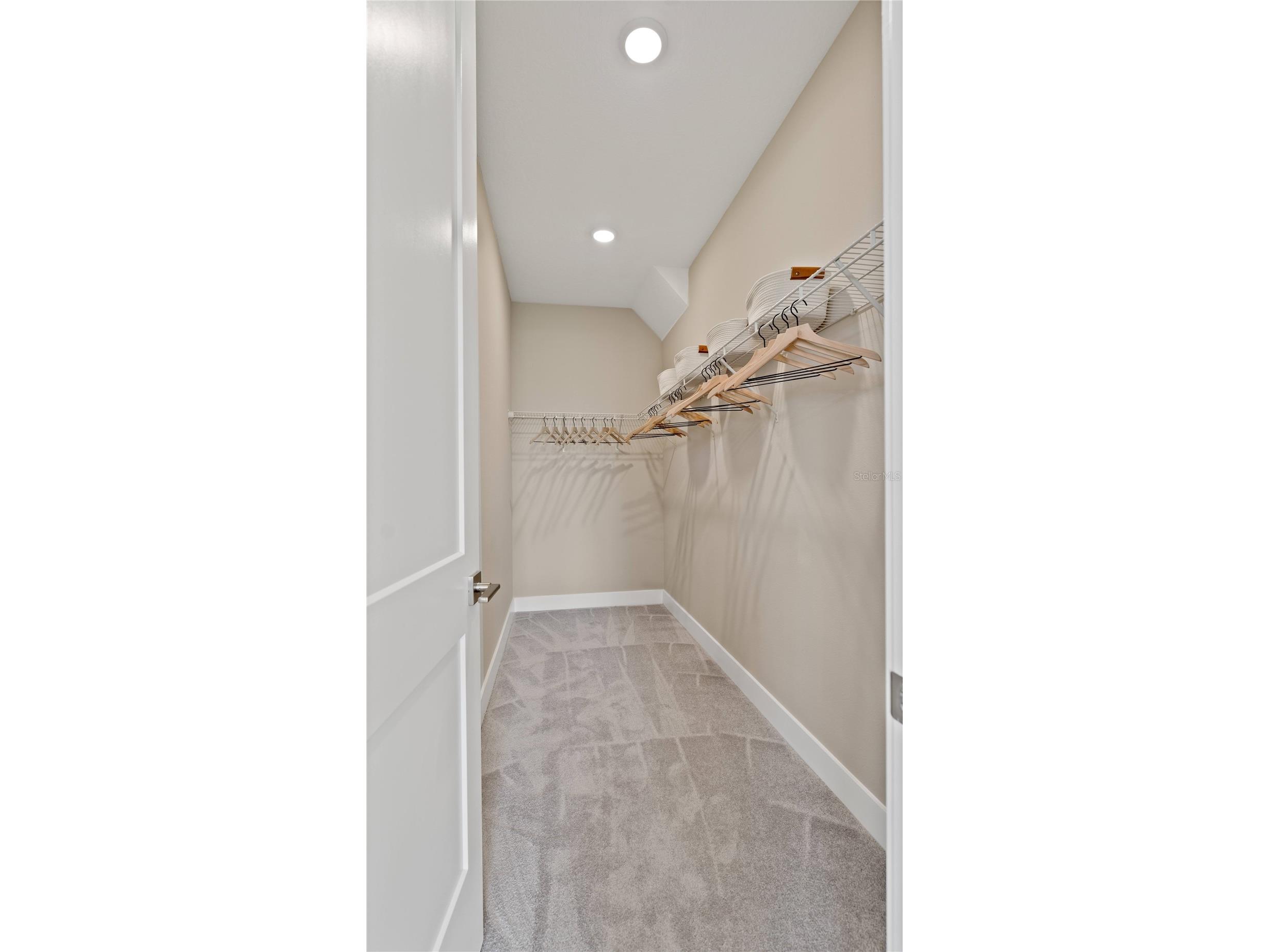 30237 Rustic Mill Street Mount Dora FL 32757 O6423334 image38