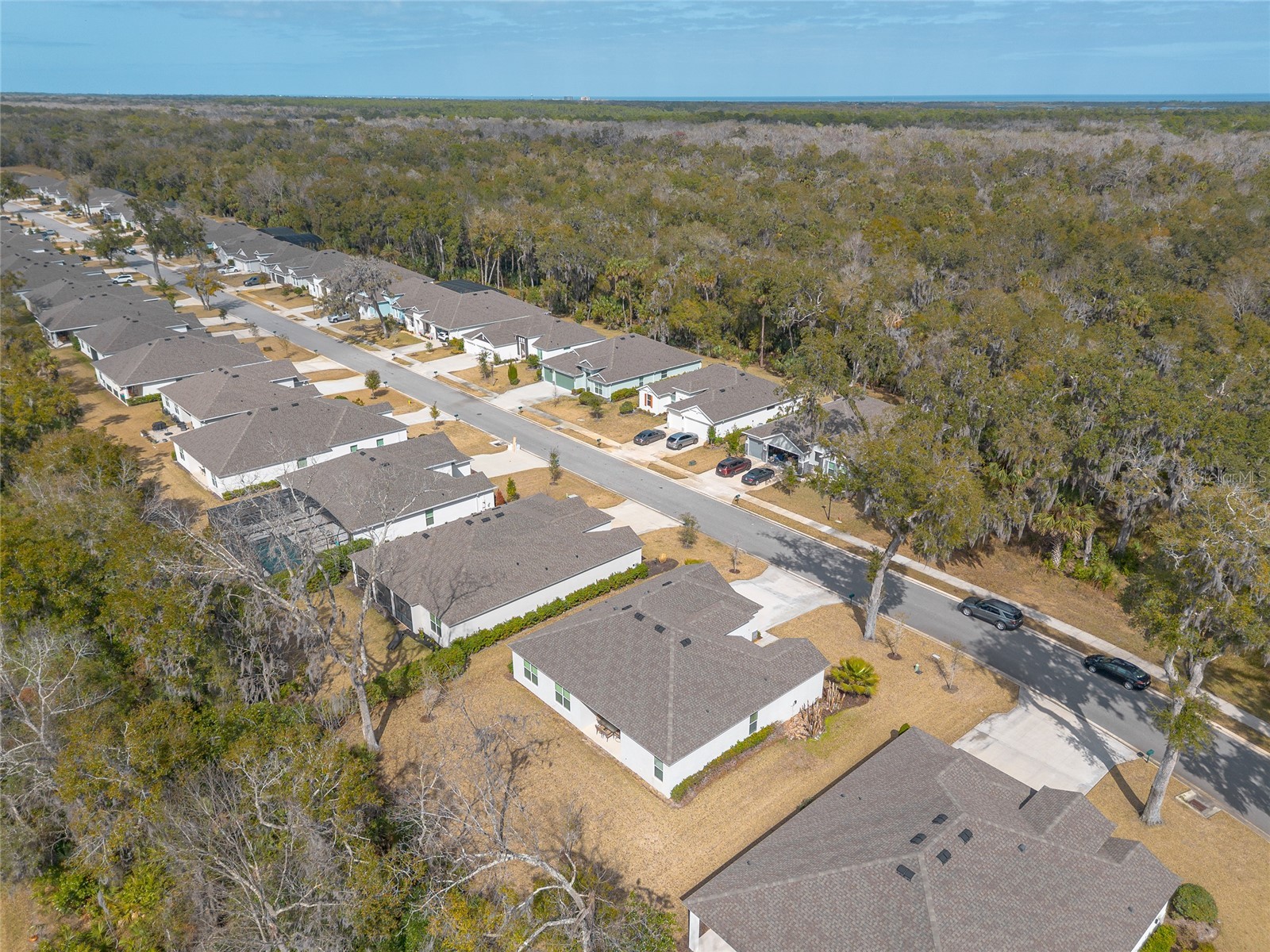 3024 Adrian Drive Ormond Beach FL 32174 FC316161 image41