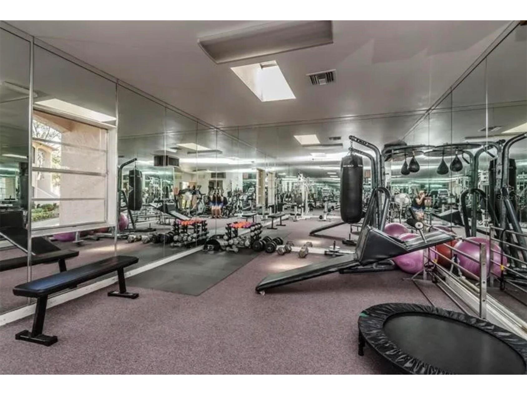 3024 Bonaventure Circle #204 Palm Harbor FL 34684 O6418238 image20