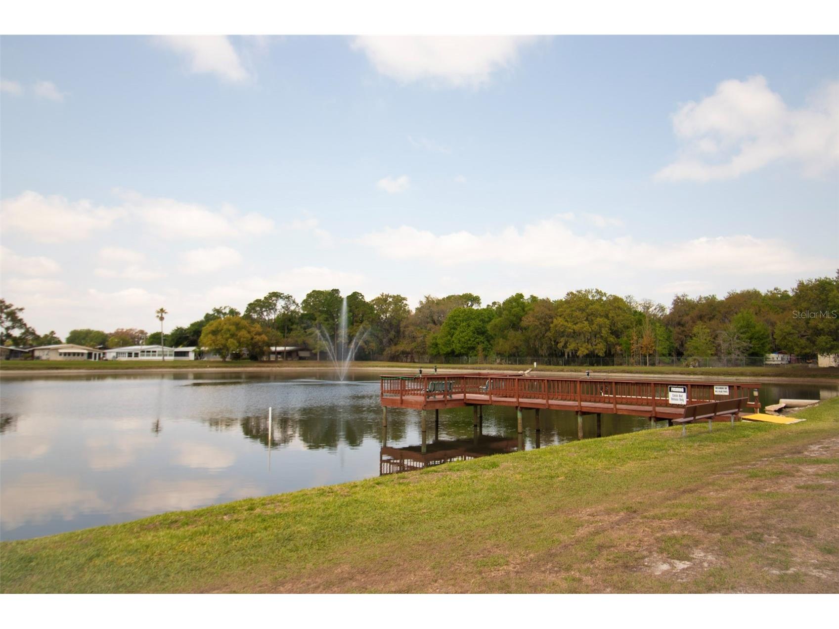 3024 Briar Street Wesley Chapel FL 33543 TB8485607 image16