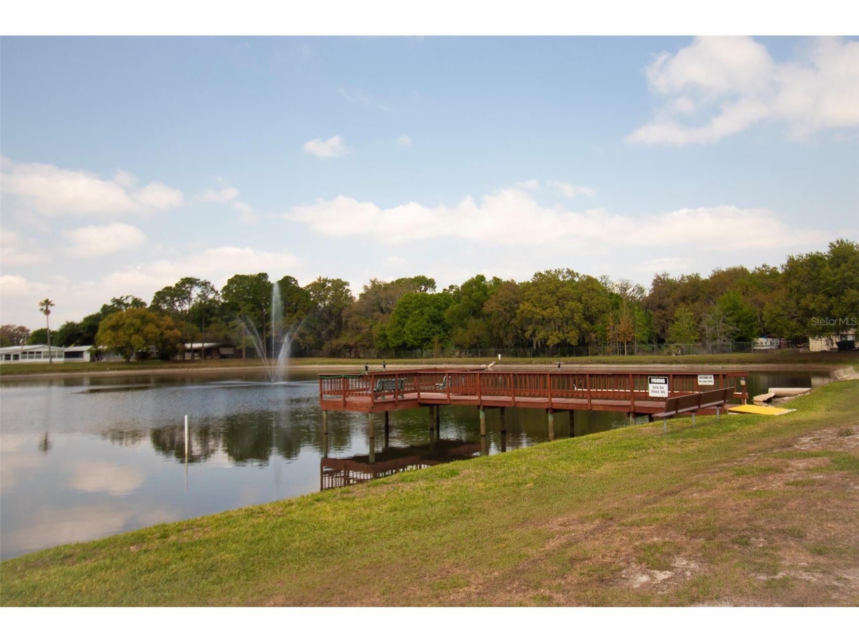 3024 Briar Street Wesley Chapel FL 33543 TB8485607 image17