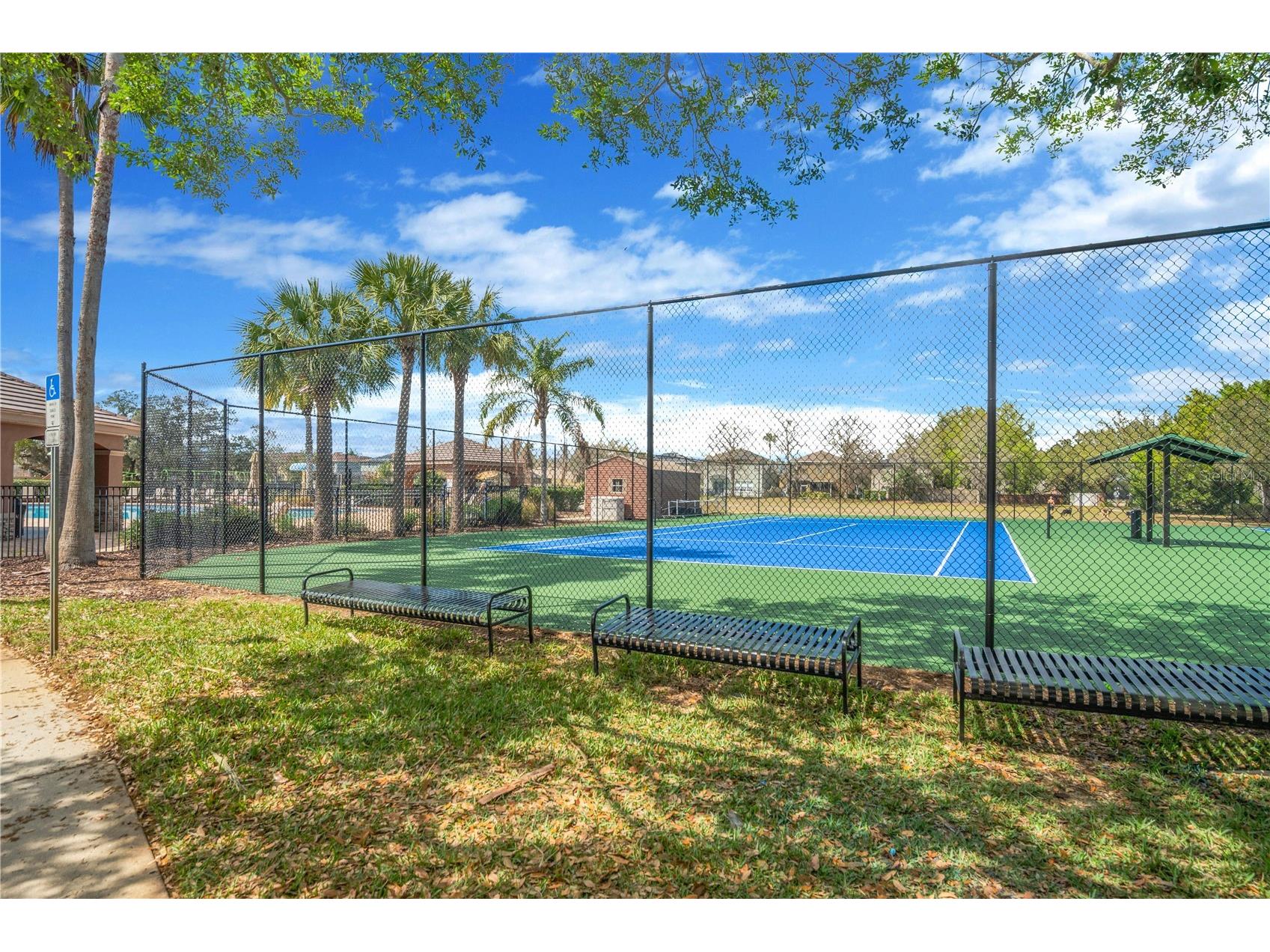 3024 Girvan Drive Land O Lakes FL 34638 TB8481647 image43