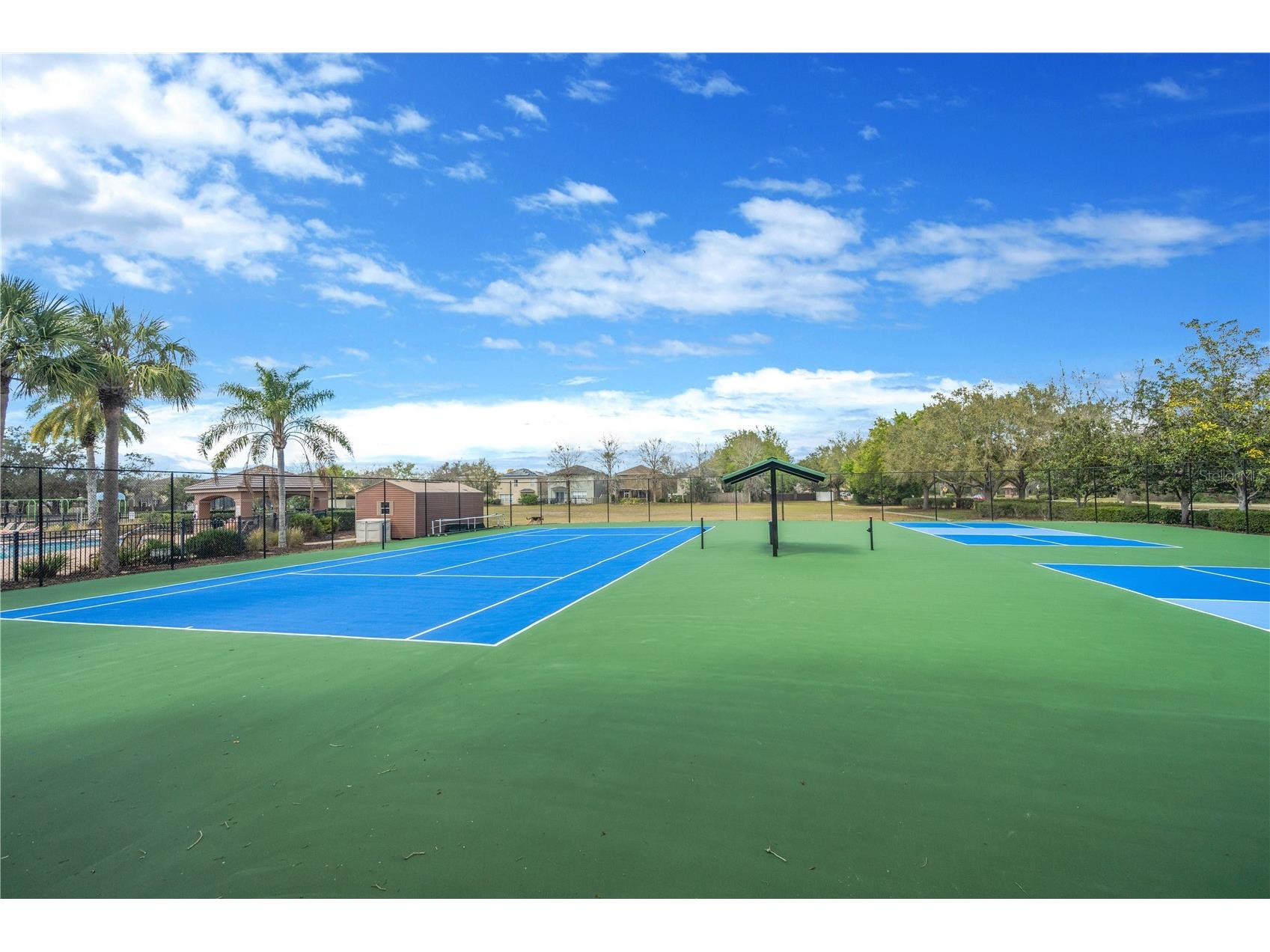 3024 Girvan Drive Land O Lakes FL 34638 TB8481647 image44