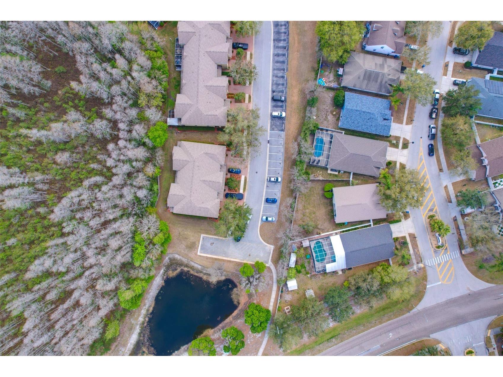 3024 Girvan Drive Land O Lakes FL 34638 TB8481647 image46