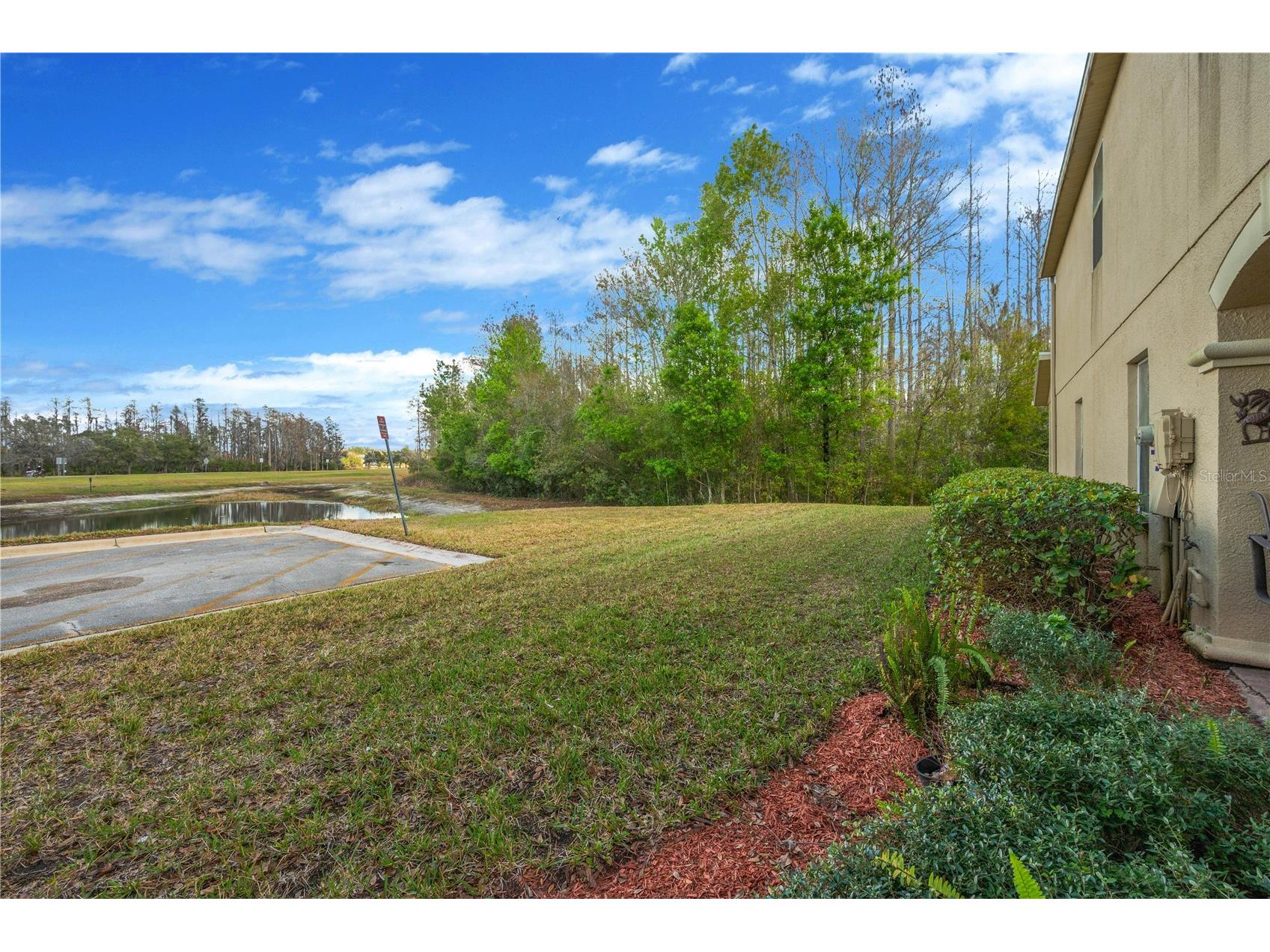 3024 Girvan Drive Land O Lakes FL 34638 TB8481647 image61