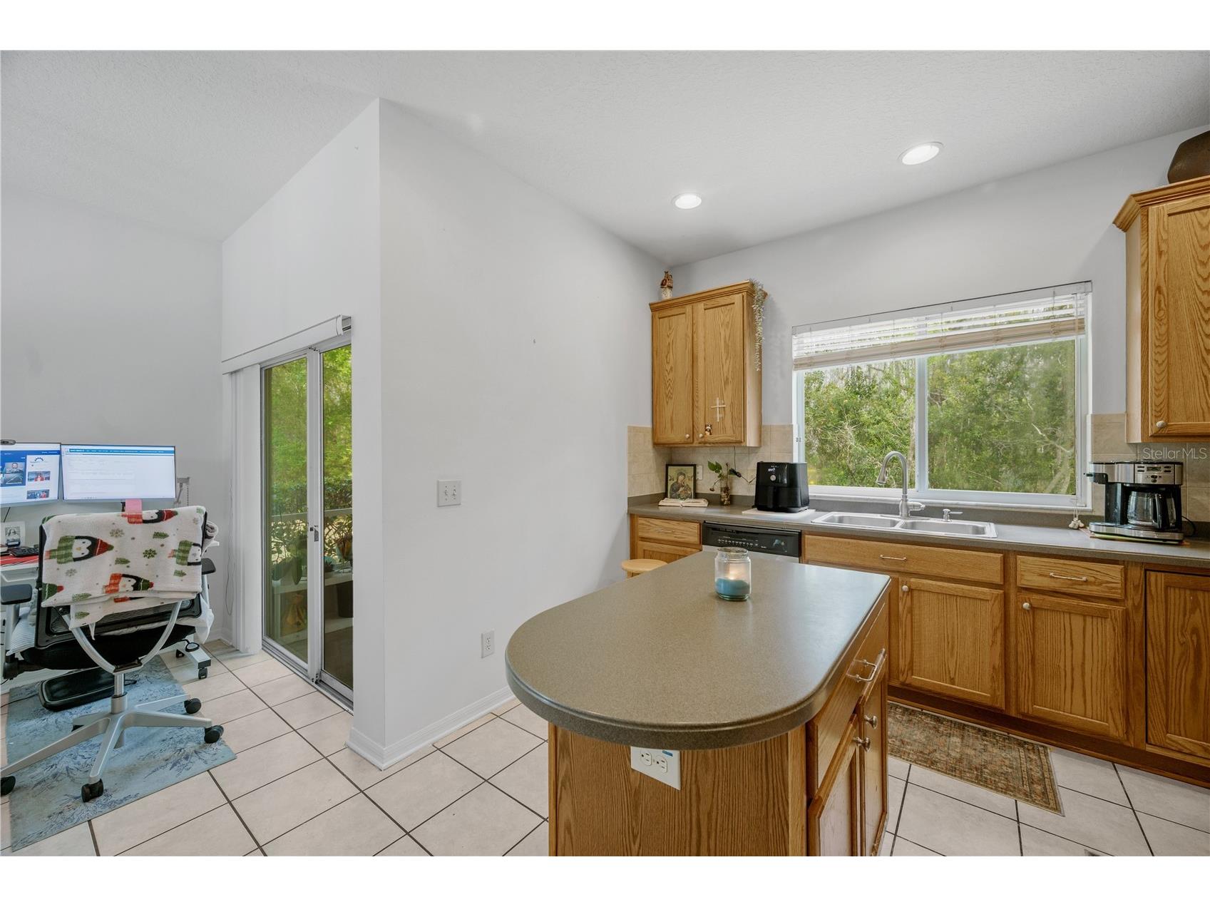 3024 Girvan Drive Land O Lakes FL 34638 TB8481647 image9