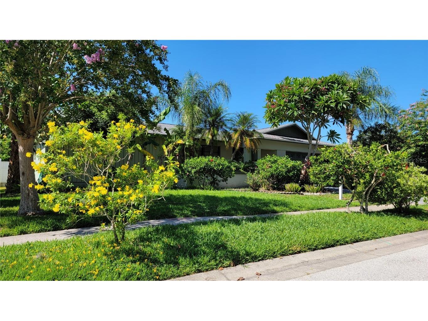 3024 Sandpiper Place Clearwater FL 33762 T3460909 image1