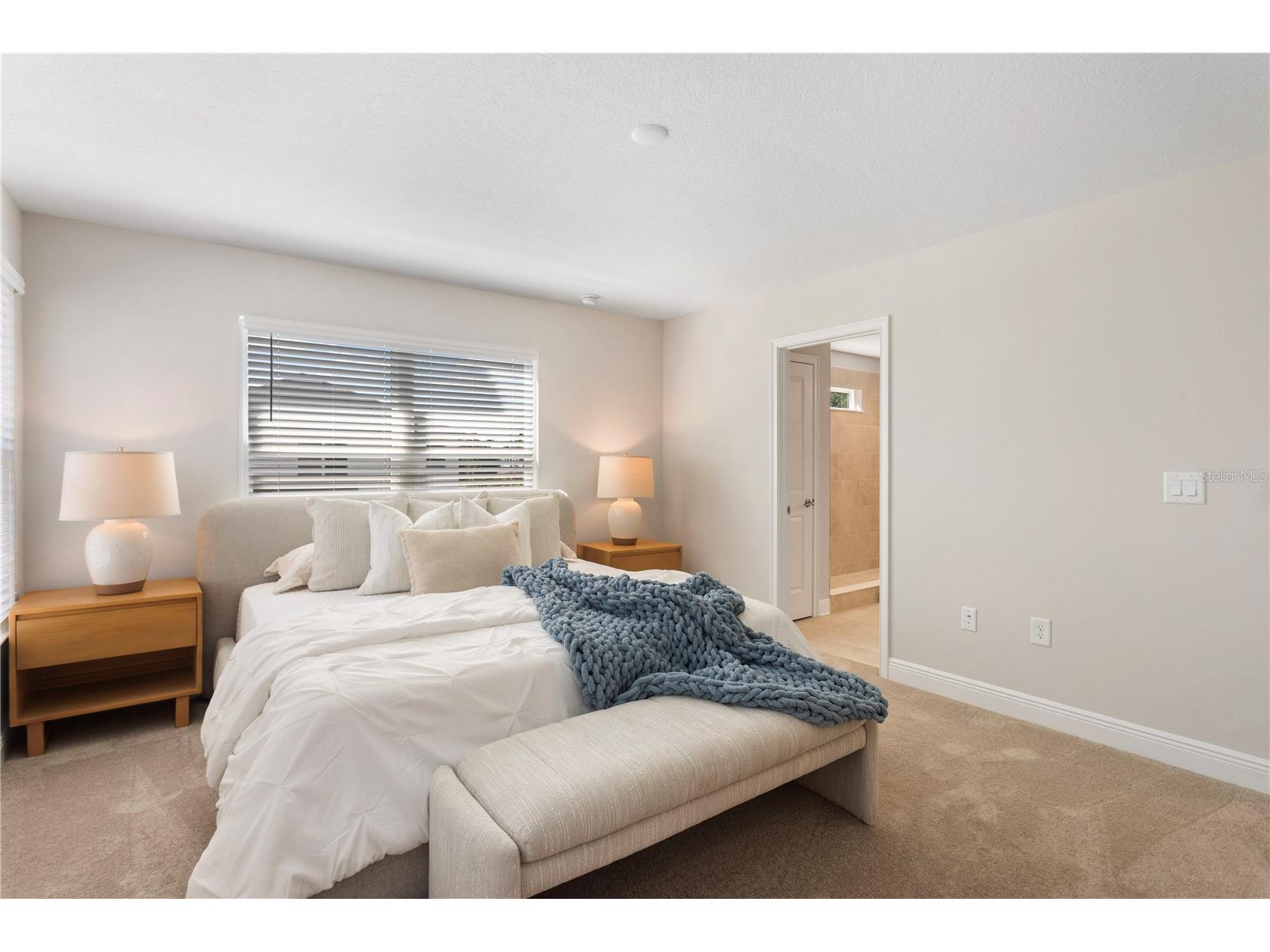 3024 W Cass Street Tampa FL 33609 TB8346346 image11