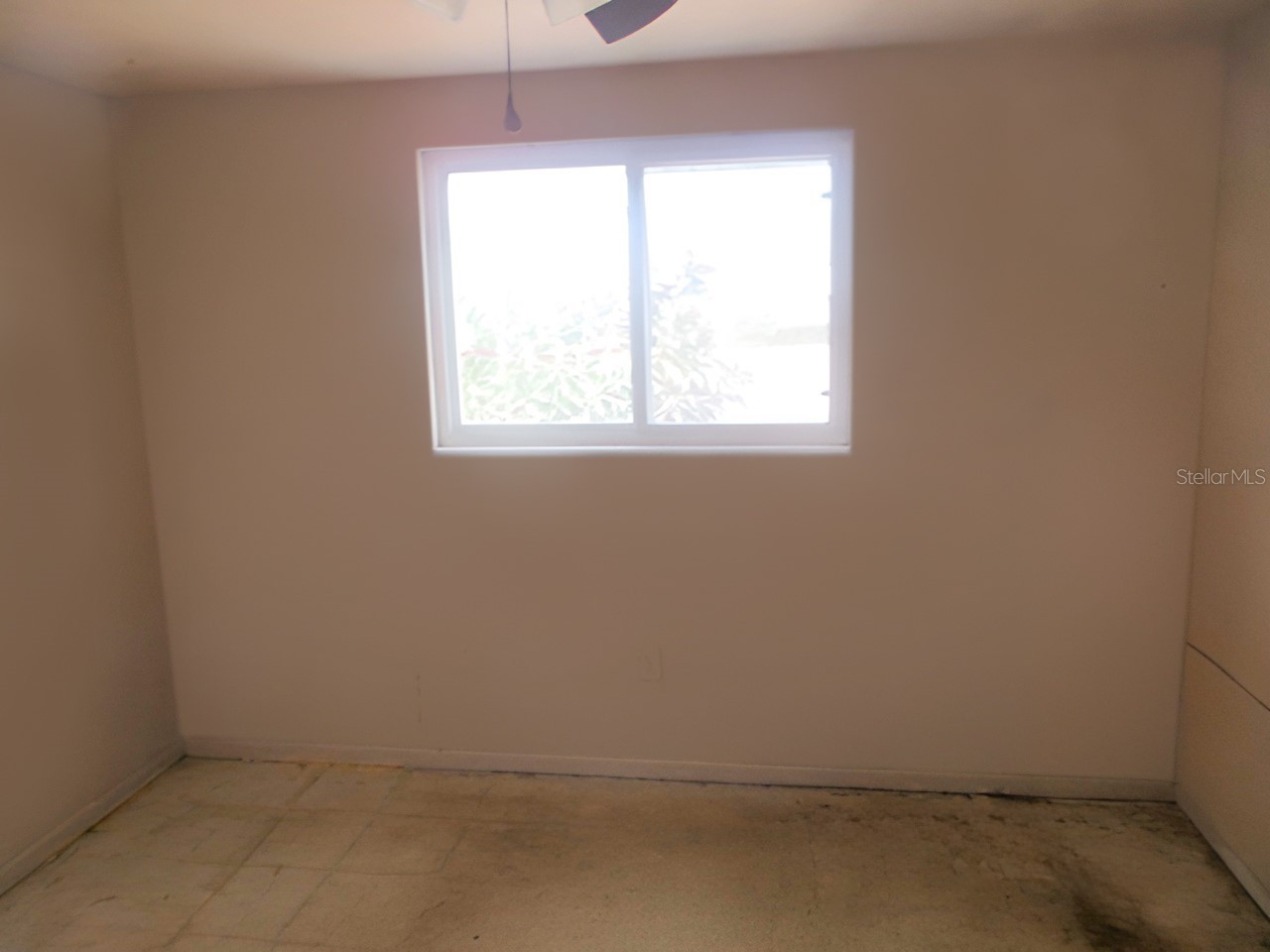 3024 Williamsburg Street Sarasota FL 34231 C7521739 image8