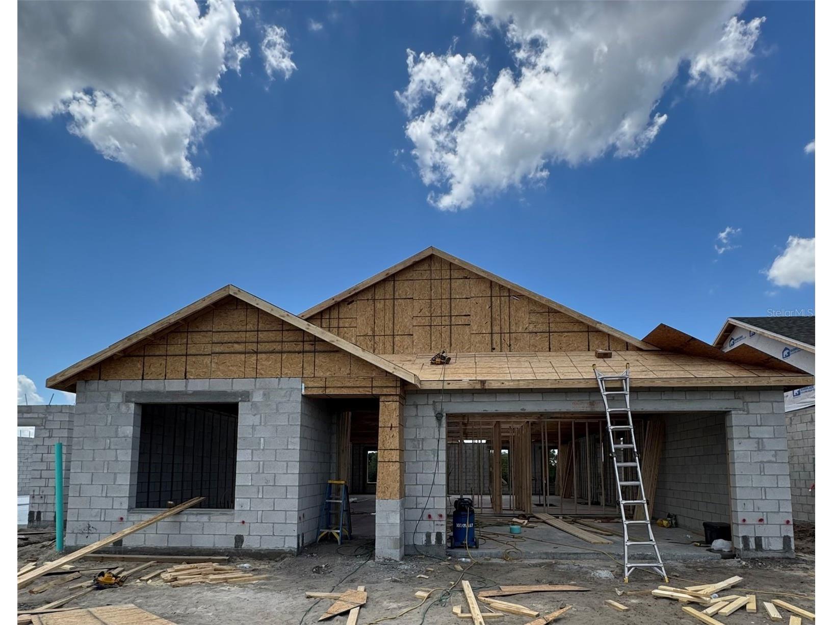 30241 Rustic Mill Street Mount Dora FL 32757 O6422453 image2