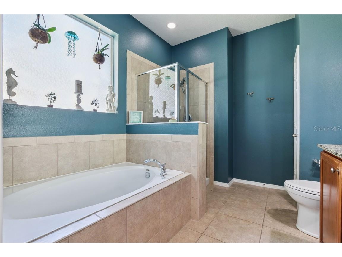 30242 Tokara Mount Dora FL 32757 G5104466 image21