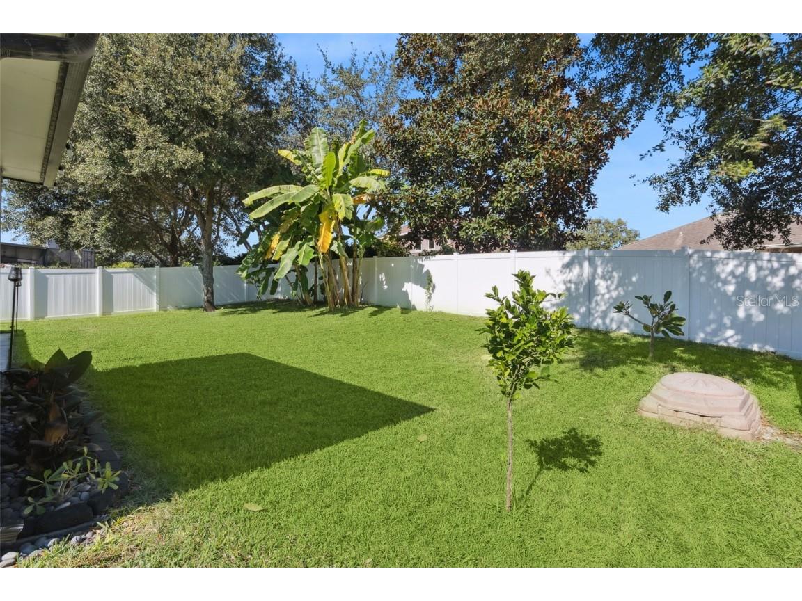 30242 Tokara Mount Dora FL 32757 G5104466 image25