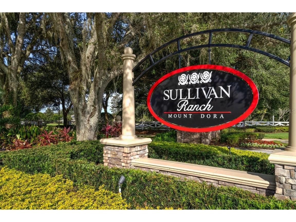 30242 Tokara Mount Dora FL 32757 G5104466 image36