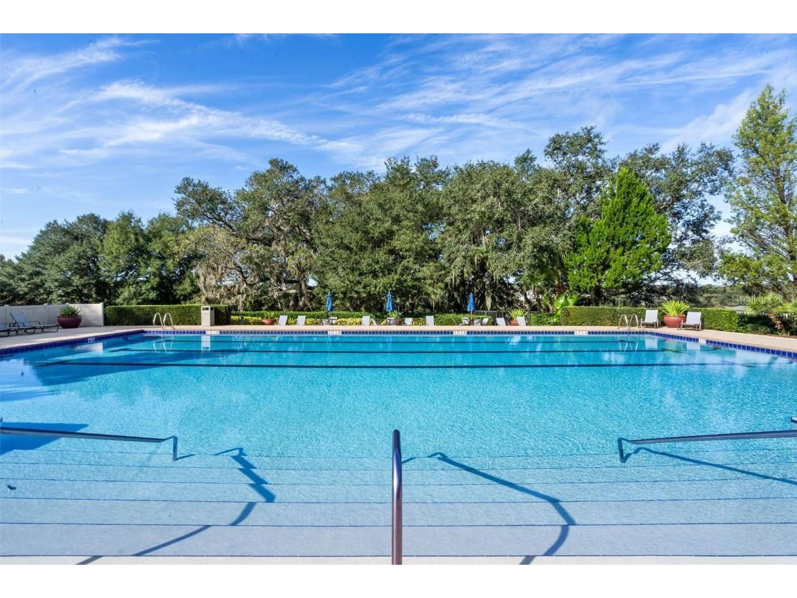 30242 Tokara Mount Dora FL 32757 G5104466 image48