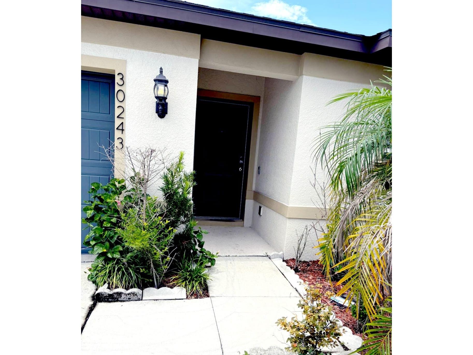 30243 Marquette Avenue Wesley Chapel FL 33545 TB8526840 image3