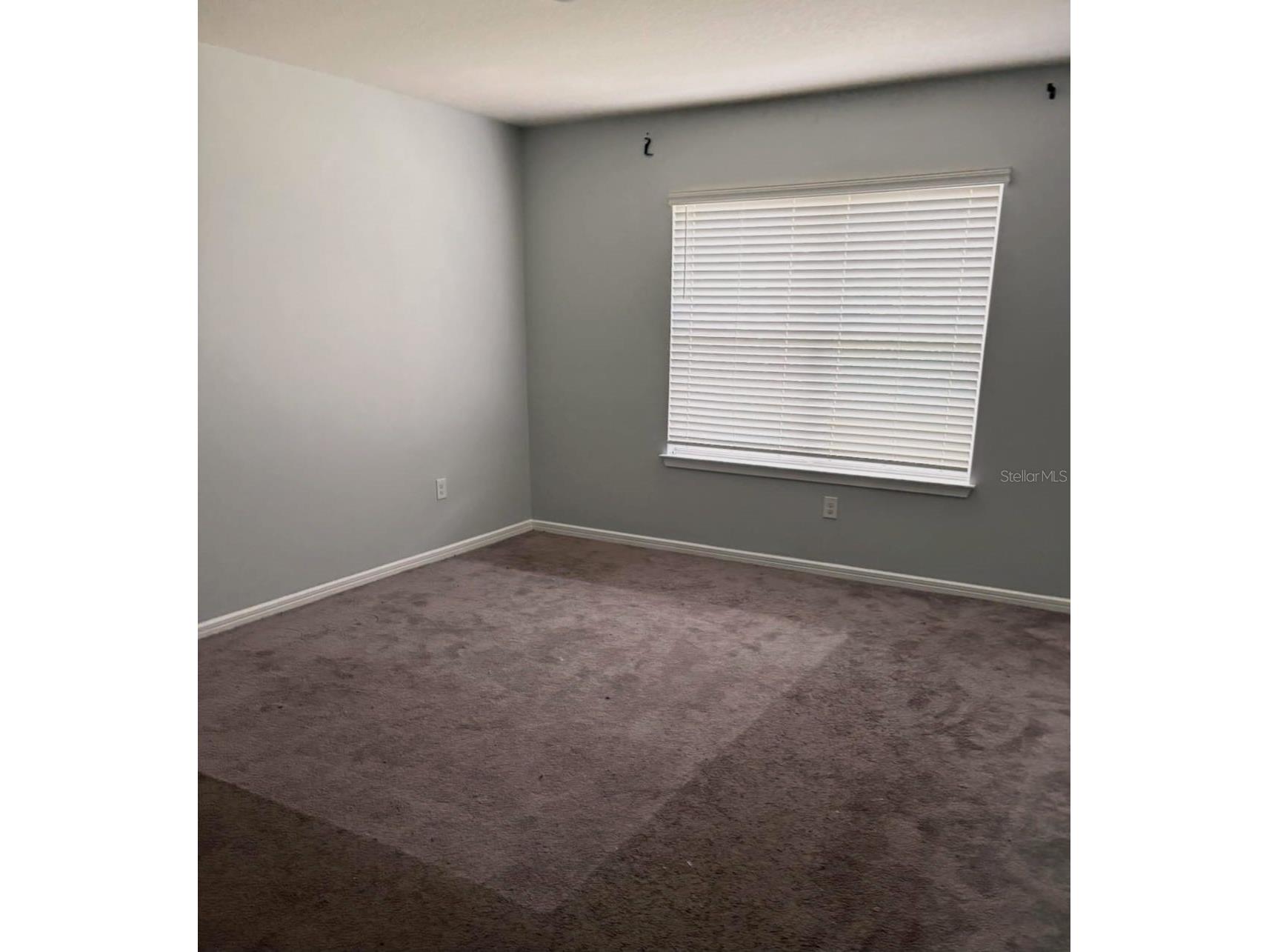 30243 Marquette Avenue Wesley Chapel FL 33545 TB8526840 image4
