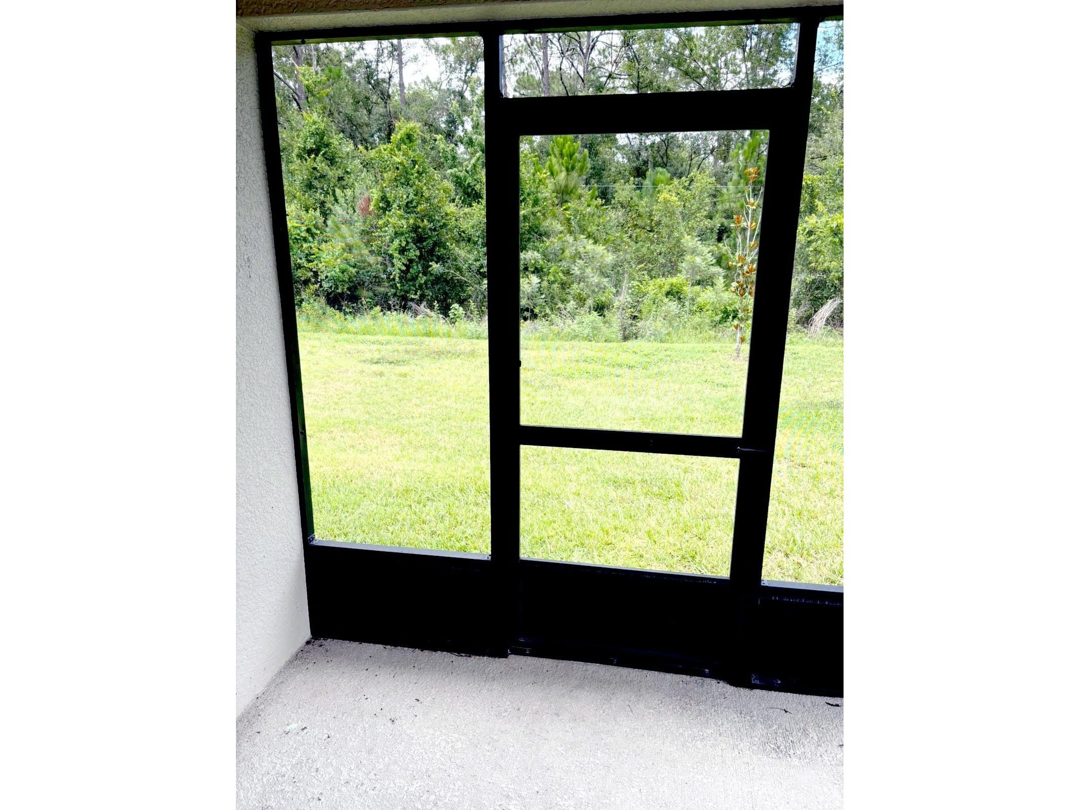 30243 Marquette Avenue Wesley Chapel FL 33545 TB8526840 image6