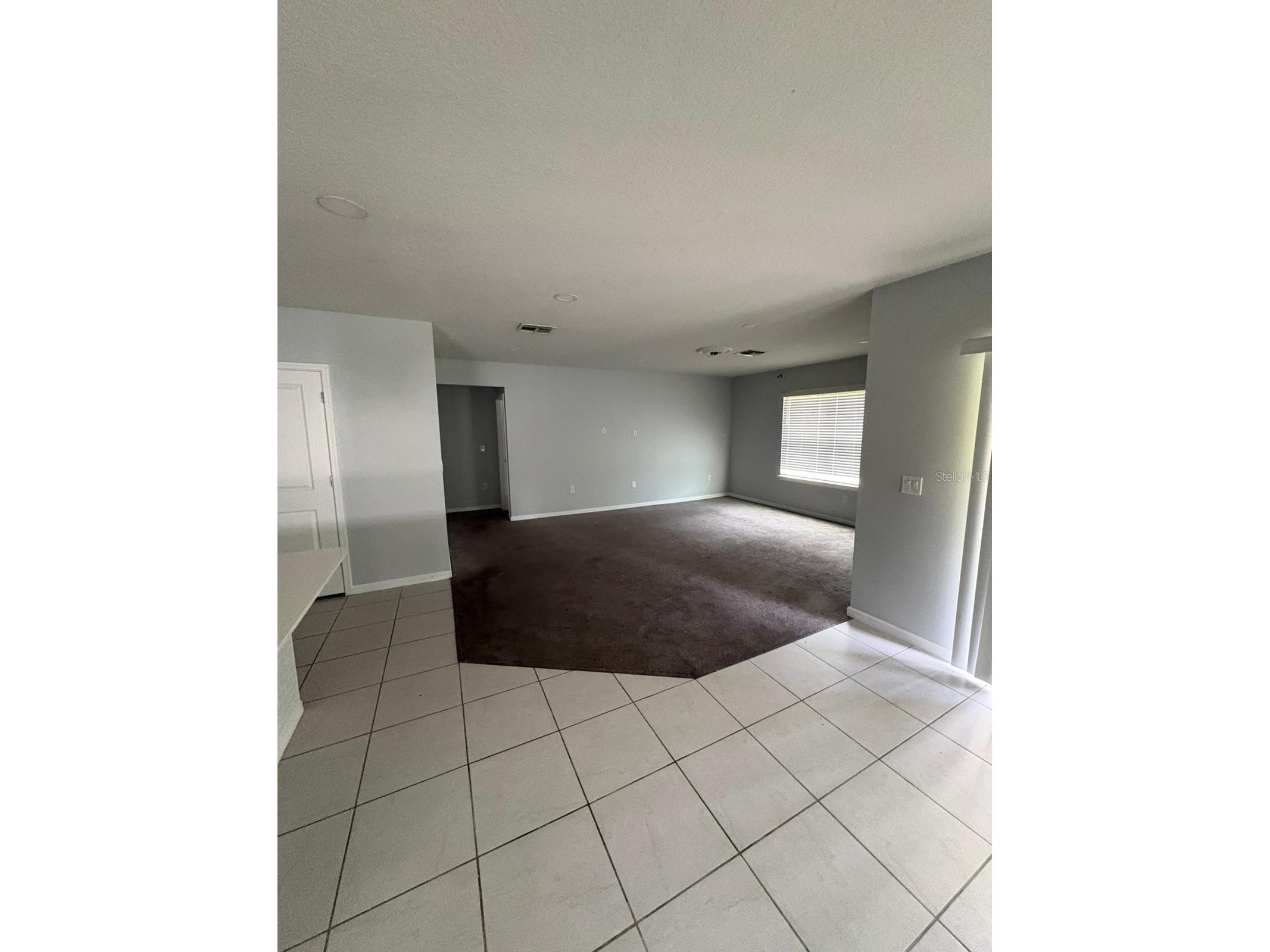 30243 Marquette Avenue Wesley Chapel FL 33545 TB8526840 image9