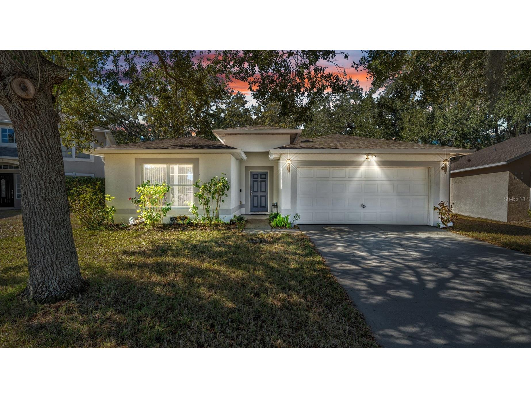 30244 Birdhouse Drive Wesley Chapel FL 33545 TB8470751 image1