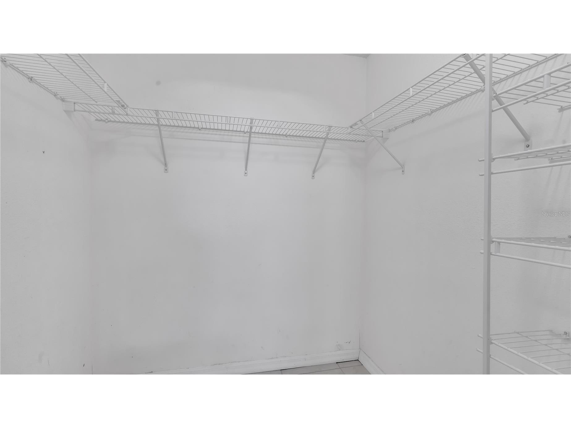 30244 Birdhouse Drive Wesley Chapel FL 33545 TB8470751 image14