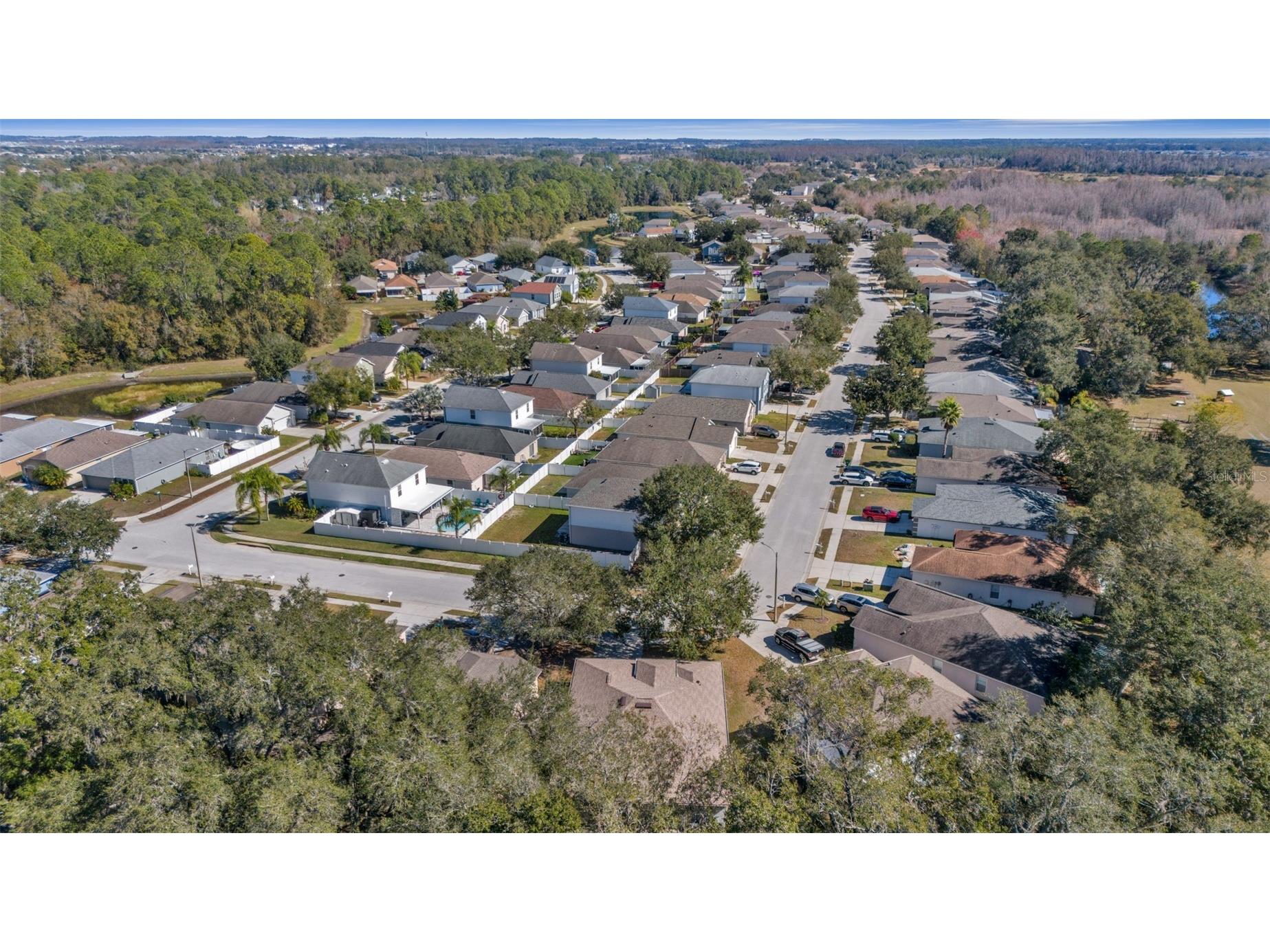 30244 Birdhouse Drive Wesley Chapel FL 33545 TB8470751 image24