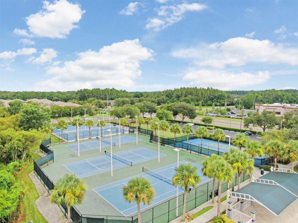 30247 Emmetts Court Wesley Chapel FL 33543 TB8397175 image23