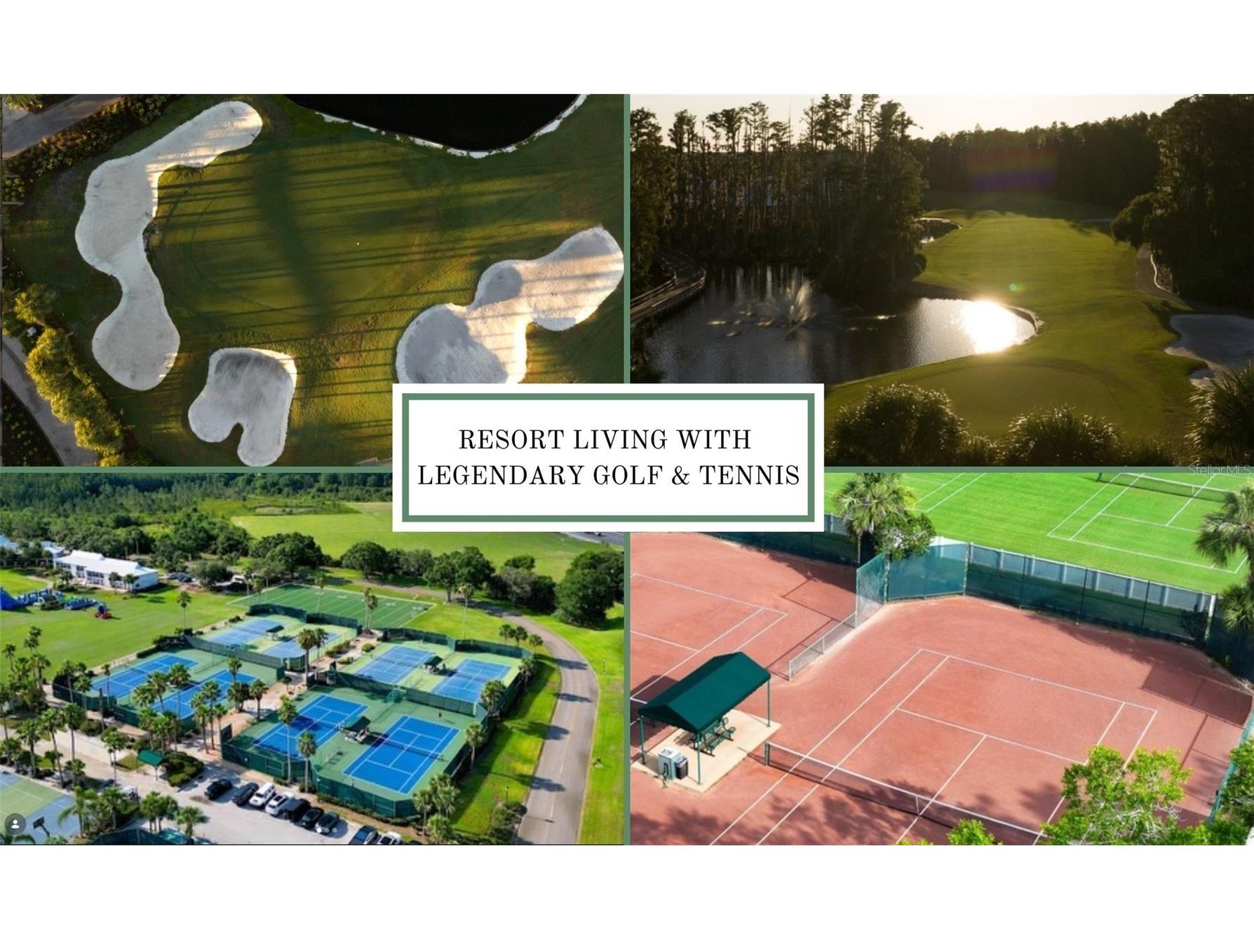 30247 Fairway Drive Wesley Chapel FL 33543 TB8374592 image58