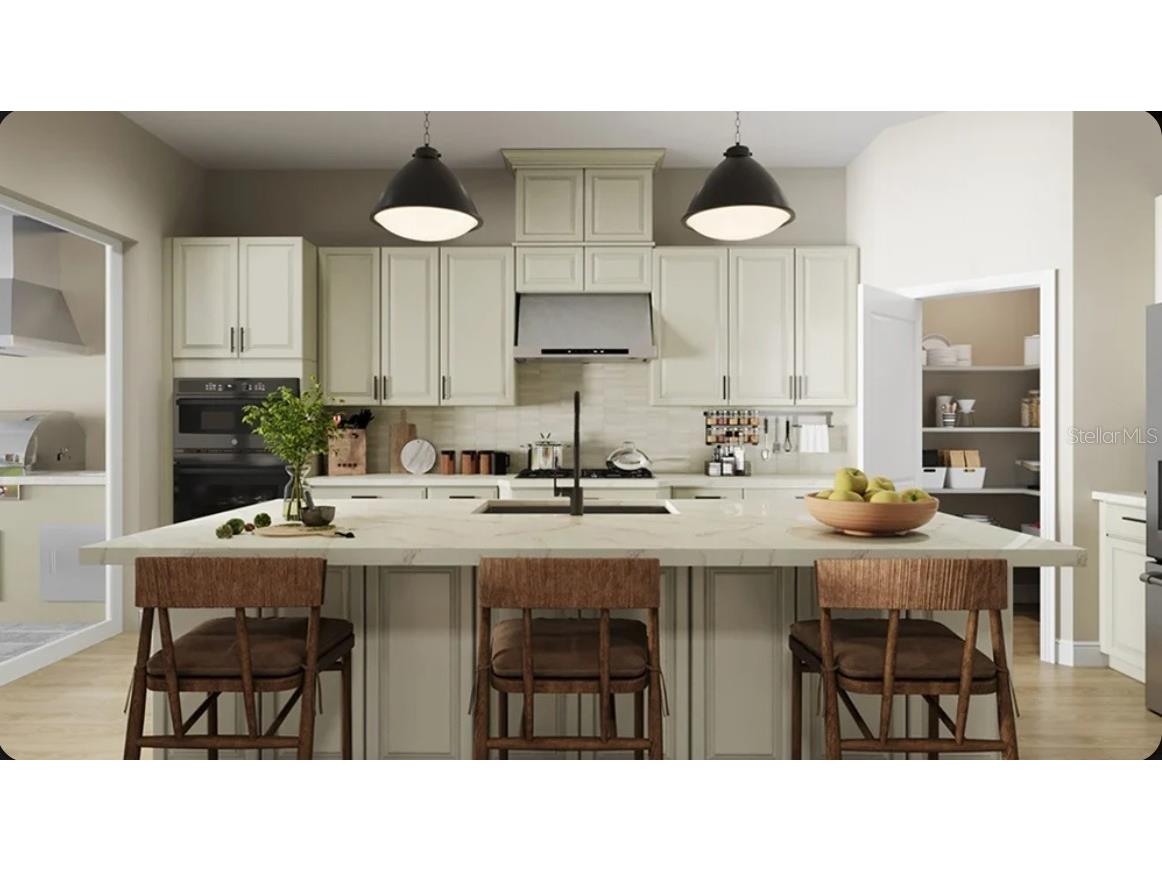 30247 Imperati Boulevard Wesley Chapel FL 33543 TB8529011 image4