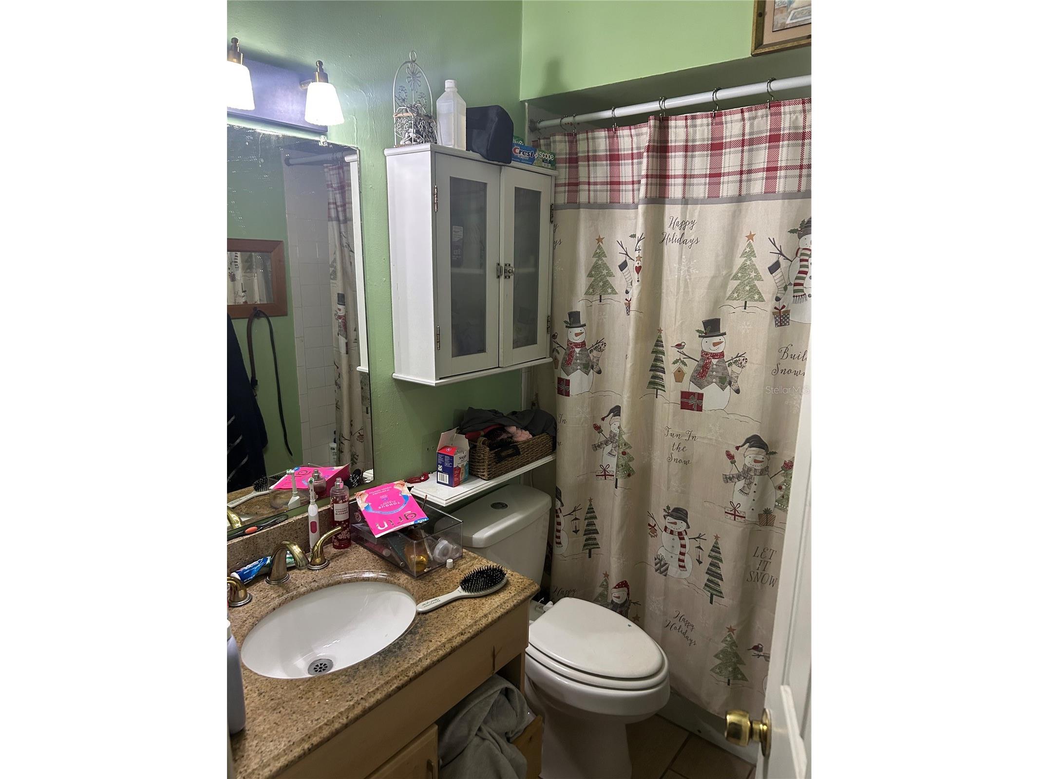 3025 Brookview Avenue Largo FL 33771 TB8480154 image21