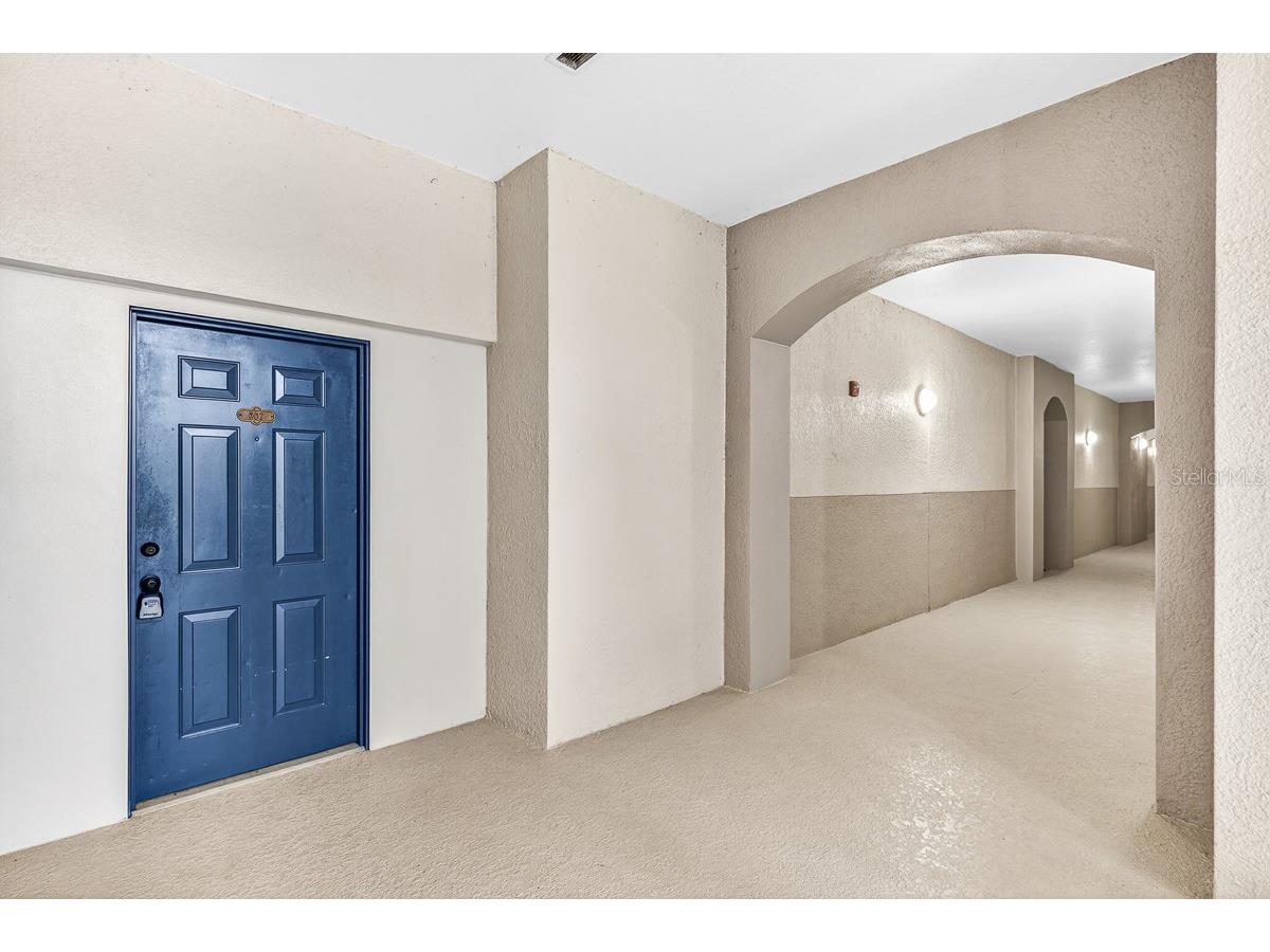 3025 Greystone Loop #207 Kissimmee FL 34741 O6381608 image5