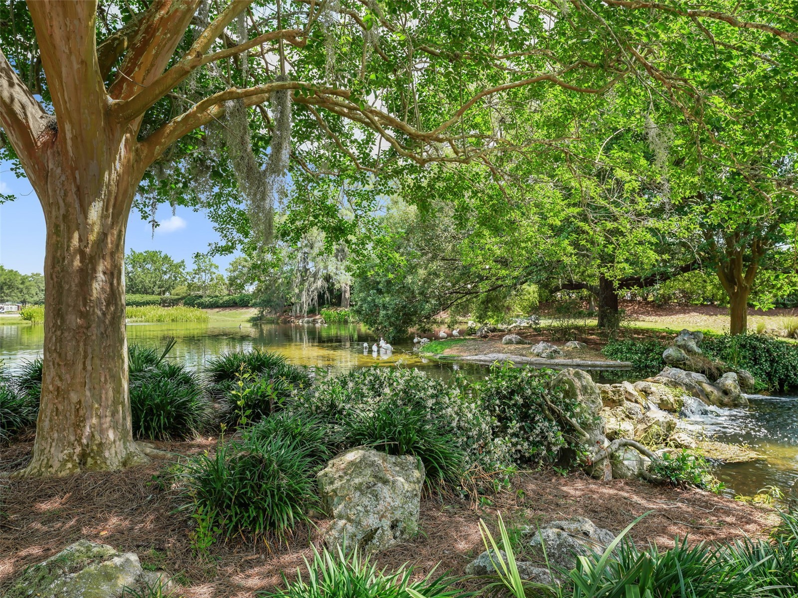 3025 Hobart Court The Villages FL 32162 G5114531 image42