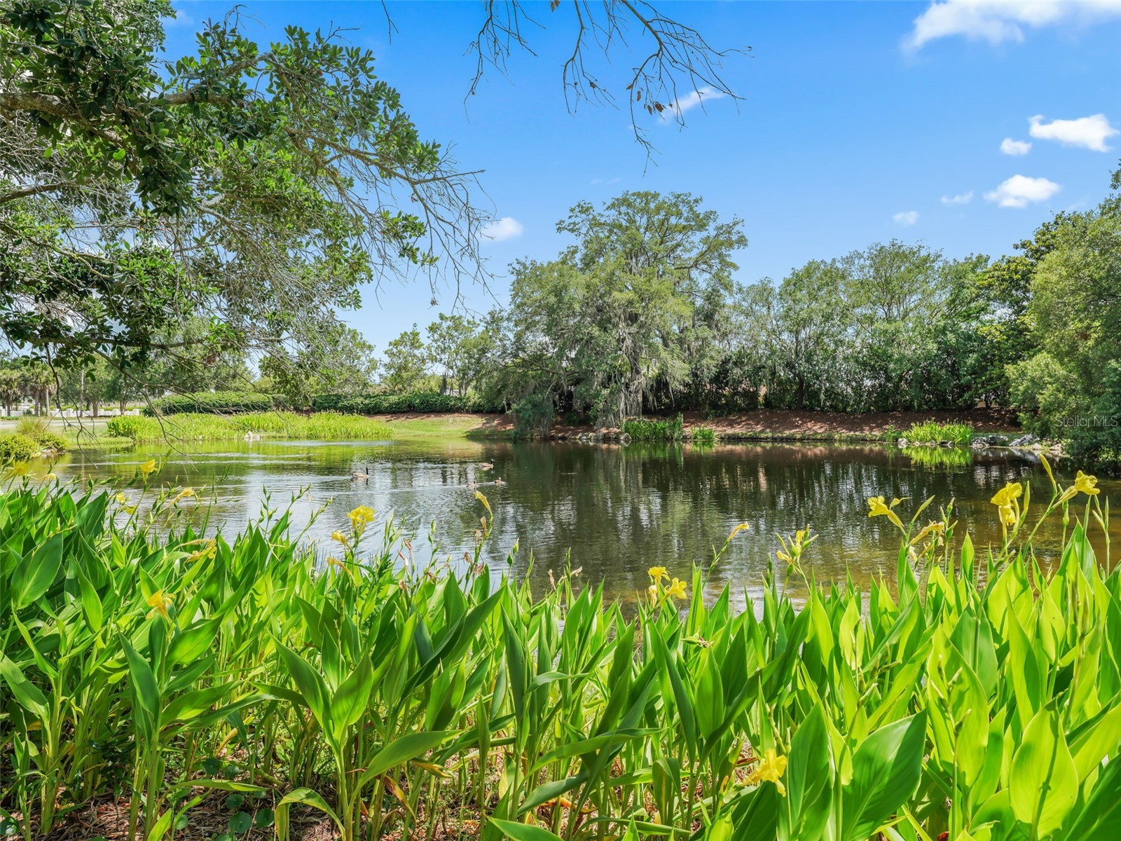 3025 Hobart Court The Villages FL 32162 G5114531 image43