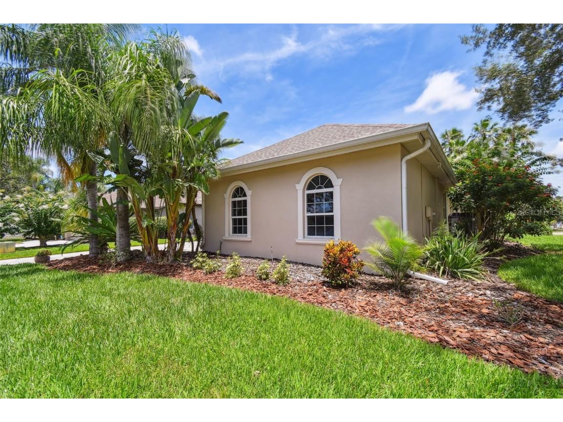 3025 Naughton Way Tarpon Springs FL 34688 TB8404534 image10