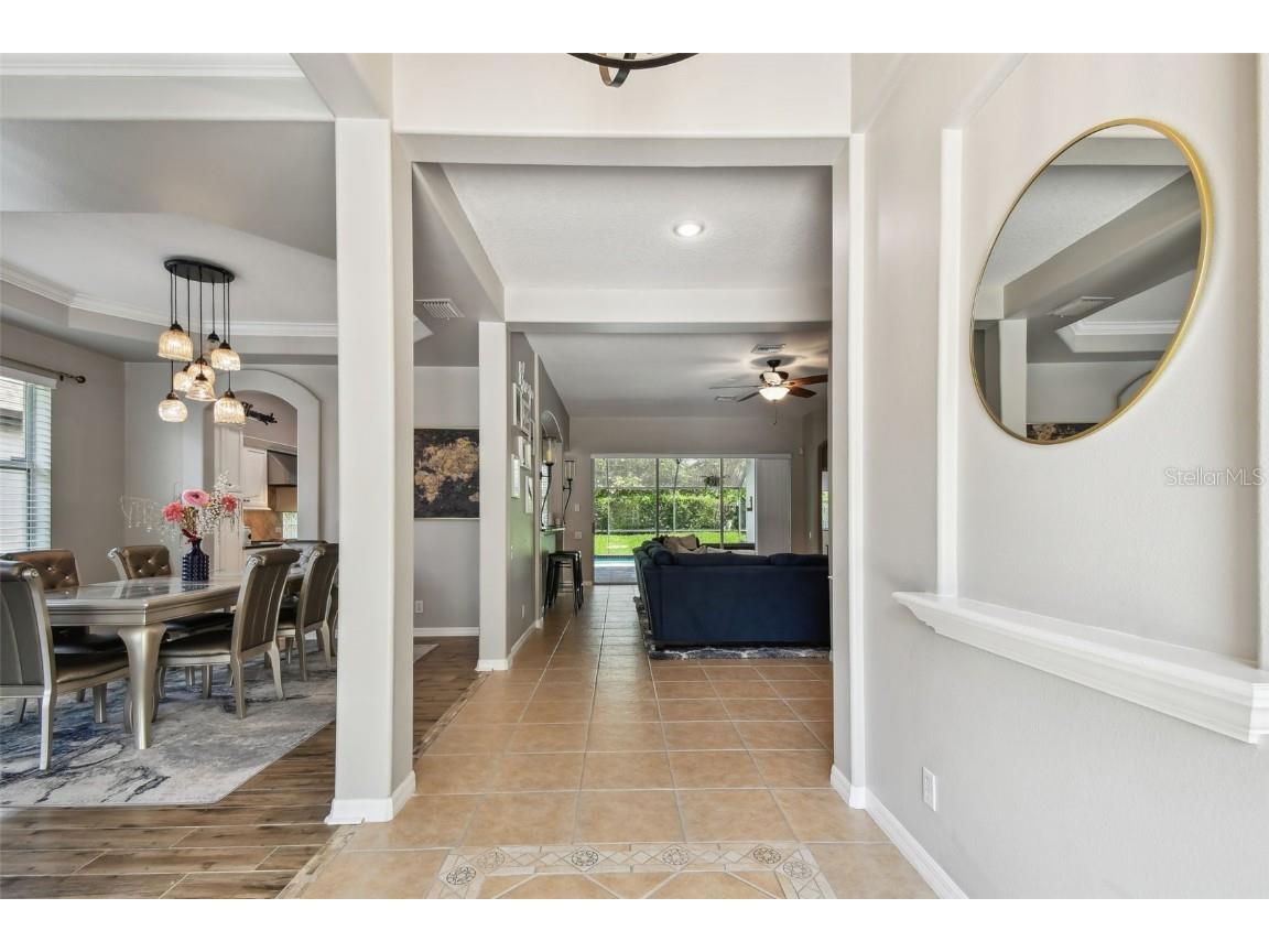 3025 Naughton Way Tarpon Springs FL 34688 TB8404534 image14