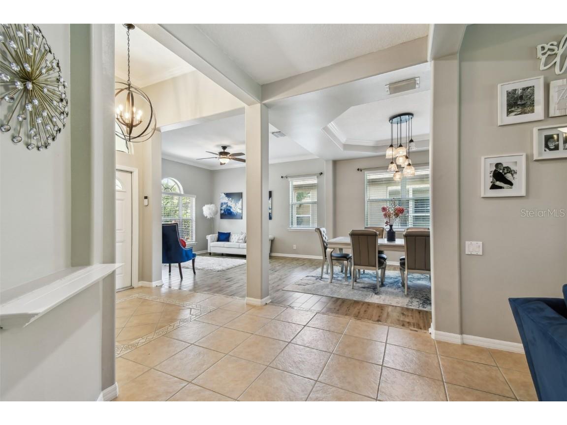 3025 Naughton Way Tarpon Springs FL 34688 TB8404534 image19